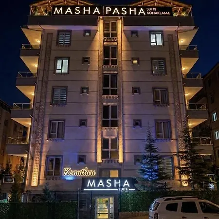 Apartment Pasha &